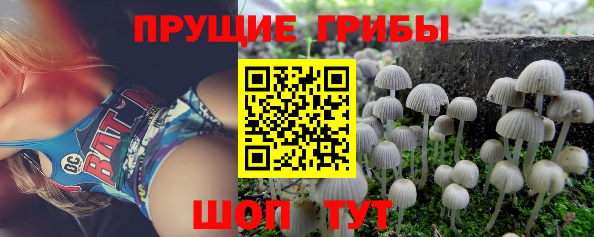 Псилоцибиновые грибы Psilocybe  Псилоцибиновые грибы Psilocybine cubensis  Вход с VPN  Будённовск 